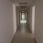 Magna Grecia Reggio Calabria